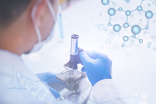 How is the Toxicity of New Cosmetic Ingredients "Calculated"?  - A Technical Analysis of Computational Models for Predicting New Ingredient Toxicity