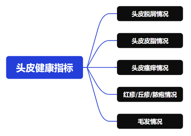 头皮,健康,头皮脱屑,头皮皮脂,CIRS,功效评价,技术实践