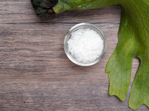 PFAS Substance Analysis and Identification Service