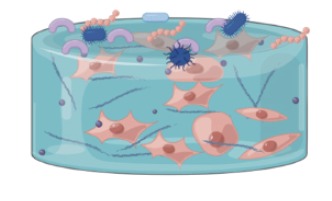 In-vitro Microbiome