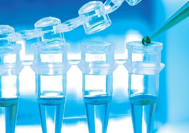 In-vitro Safety Evaluation