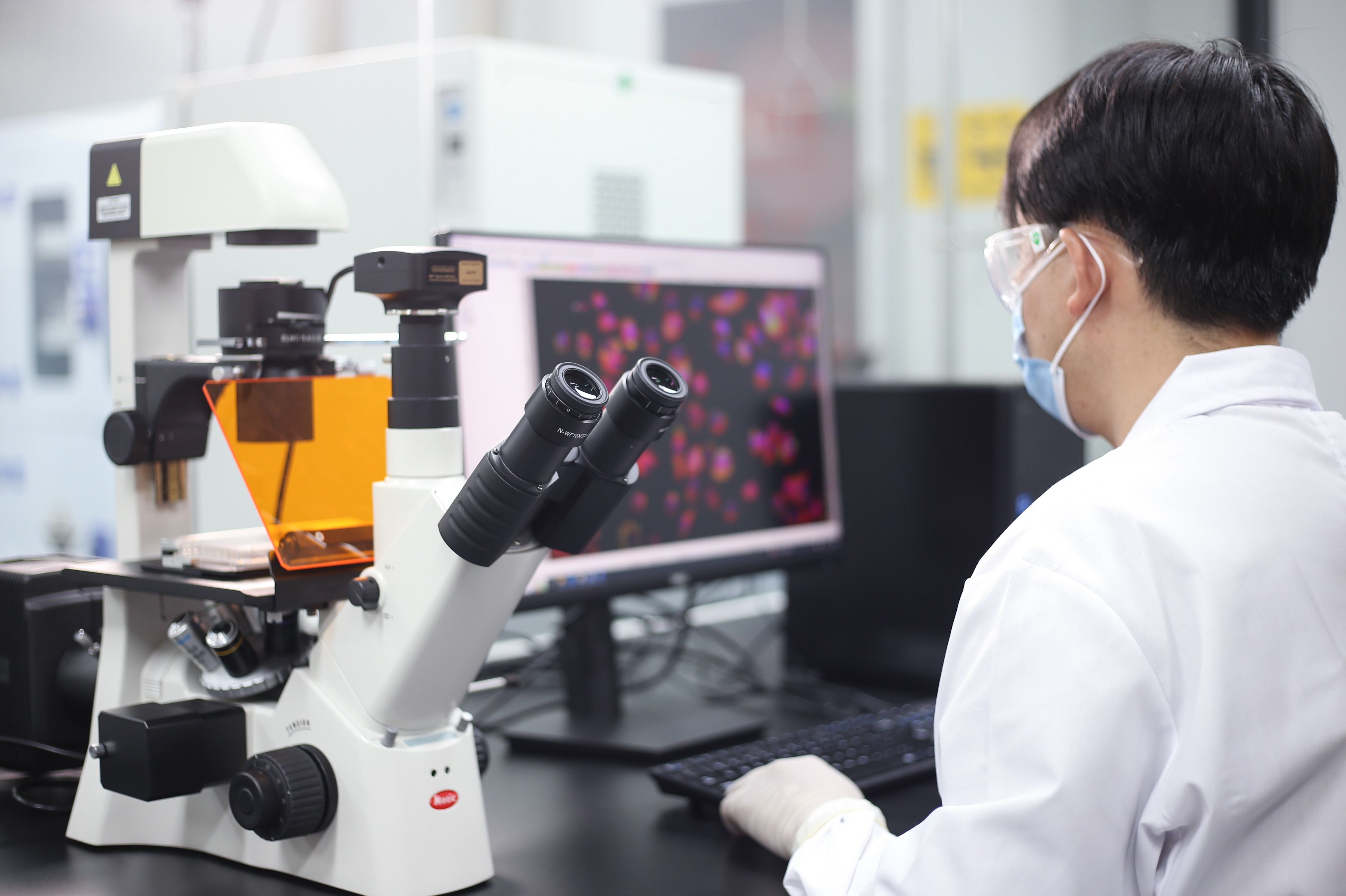 In Vitro Laboratory